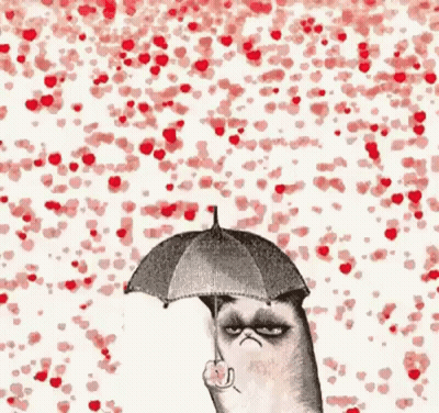 Grumpy Cat Holding Umbrella GIF