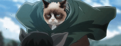 Grumpy Cat In Cape Next To Man GIF
