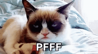Grumpy Cat Laying On Bed Saying Pfff GIF