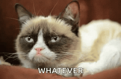 Grumpy Cat Laying On Couch Saying Whatever GIF