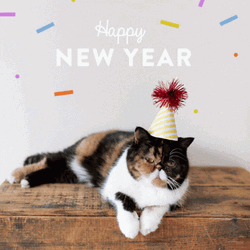 Grumpy Cat New Year GIF