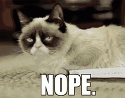 Grumpy Cat Nope Meme GIF