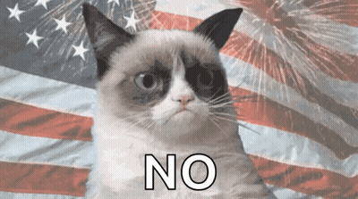 Grumpy Cat Says No In Front Of Flag GIF