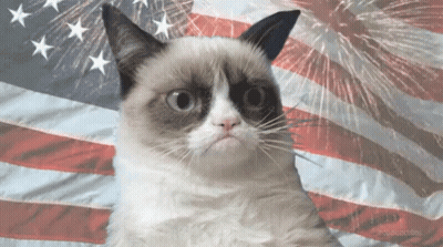 Grumpy Cat With American Flag And Fireworks GIF