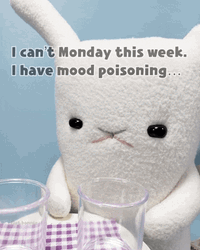 Grumpy Cute Monday GIF