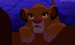 Grumpy Little Simba GIF