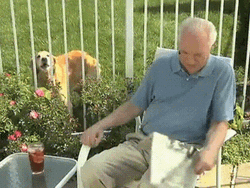 Grumpy Old Men Frustrated With Dog GIF