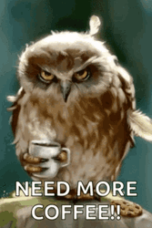 Grumpy Owl Needs Coffee GIF
