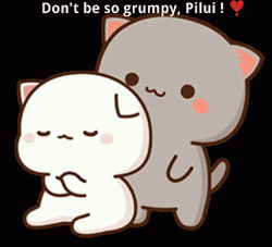 Grumpy Peach Cat GIF