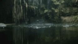 Grunge Aesthetic Dark Rainfall GIF