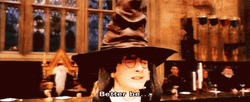 Gryffindor Sorting Hat GIF