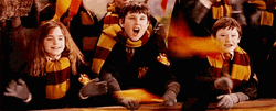 Gryffindor Students Cheering GIF