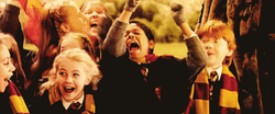 Gryffindor Winning GIF