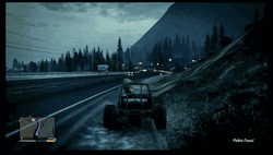 GTA Animal Got Hit  GIF