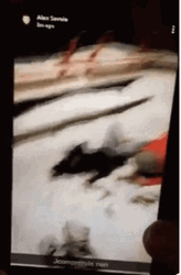 Gta Wasted Edit On Phone GIF