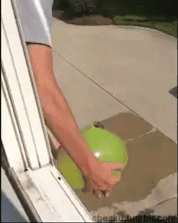 Gta Wasted Getting Hit By A Water Balloon GIF