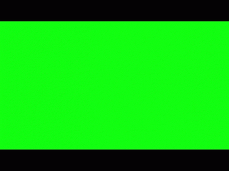 Gta Wasted Mission Passed Respect GIF