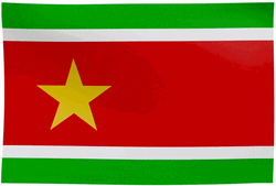 Guadeloupe Old Flag Close Up GIF