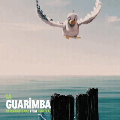 Guarimba International Film Festival Seagull GIF