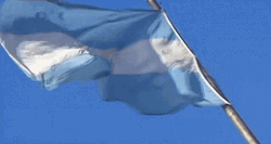 Guatemala Flag Windblown