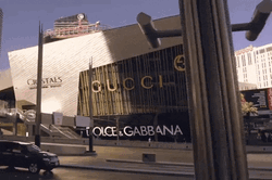 Gucci Las Vegas GIF