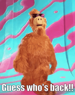 Guess Who's Here Walking Shes Back GIF