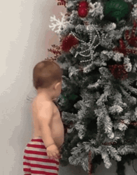 Guilty Bad Boy Baby Staring  GIF