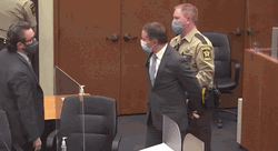 Guilty Chauvin Floyd In Handcuffs GIF