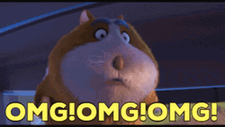 Guinea Pig Animation Omg Reaction GIF
