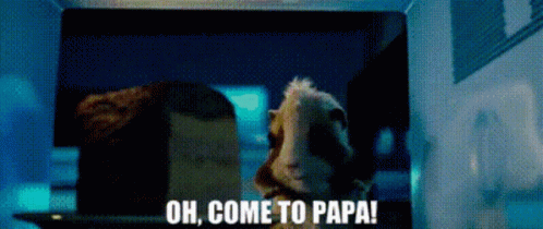 Guinea Pig Looking Out Microwave Oh Come To Papa GIF
