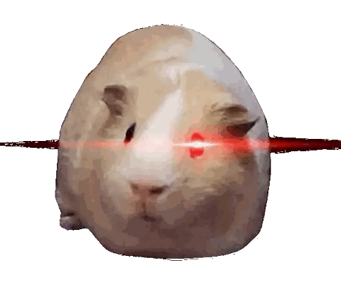 Guinea Pig With Red Light On Face Sticker