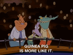 Guinea Pigs Is More Like It GIF