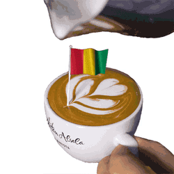 Guinea Republic Of Guinea GIF