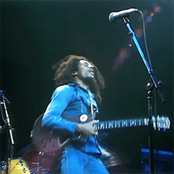 Guitar Bob Marley Jamming GIF