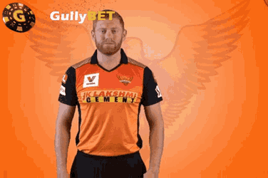 Gullybet Cricket GIF