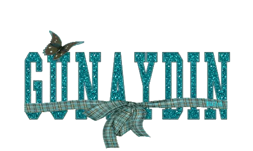 Gunaydin Blue Glitter Text With Butterfly Sticker