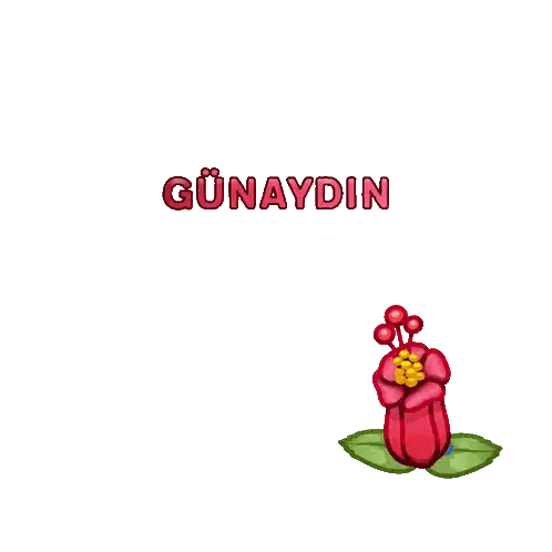 Gunaydin On White Background Sticker