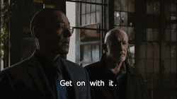 Gustavo Fring Get On With It GIF