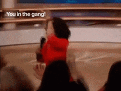 Gutter Cat Gang Oprah GIF