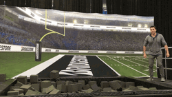 Guy At Allegiant Stadium Real Mvp GIF