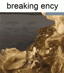 Guy Breakin The Ice GIF