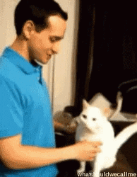 Guy Hugging With Cat Lover GIF