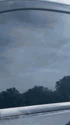 Guy In The Car Yea Boy GIF