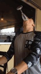 Guy Mimosa Gulp GIF