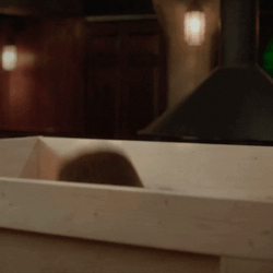 Guy Peekaboo St Patricks Day Birthday GIF