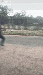 Guy Running Out Of Pocket Flipping Off Funny GIF