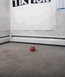 Guy Wearing Pokemon Magikarp Costume GIF