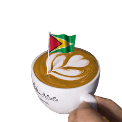 Guyana Flag Cappuccino GIF