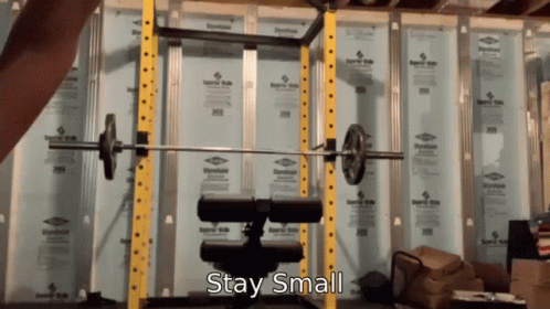 Gym Barbell Stay Small GIF