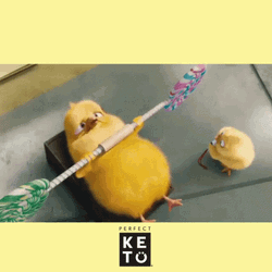 Gym Novice Cartoon Chick Meme GIF